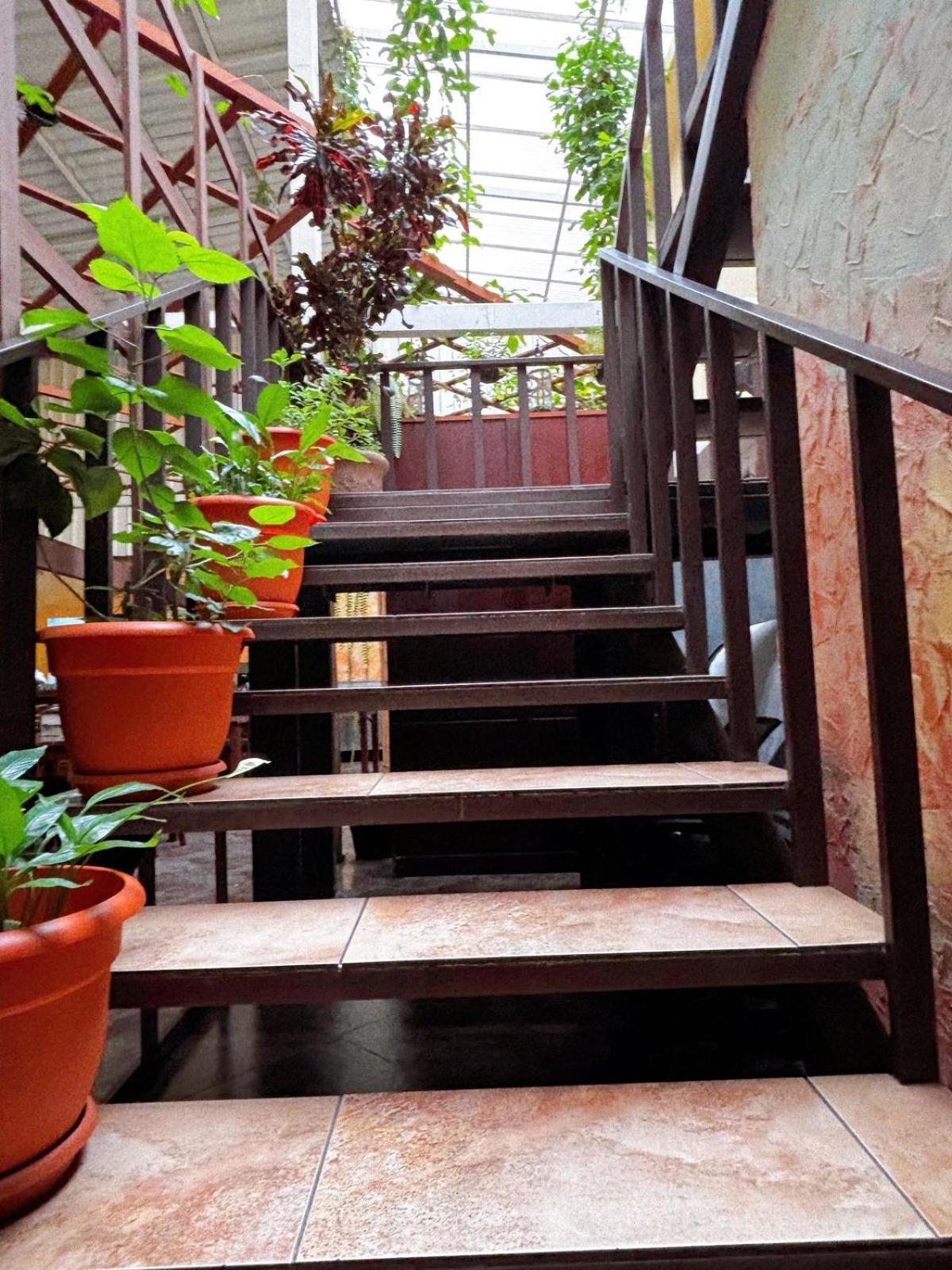 Antigua Inn Hotel Guatemala City Exterior photo