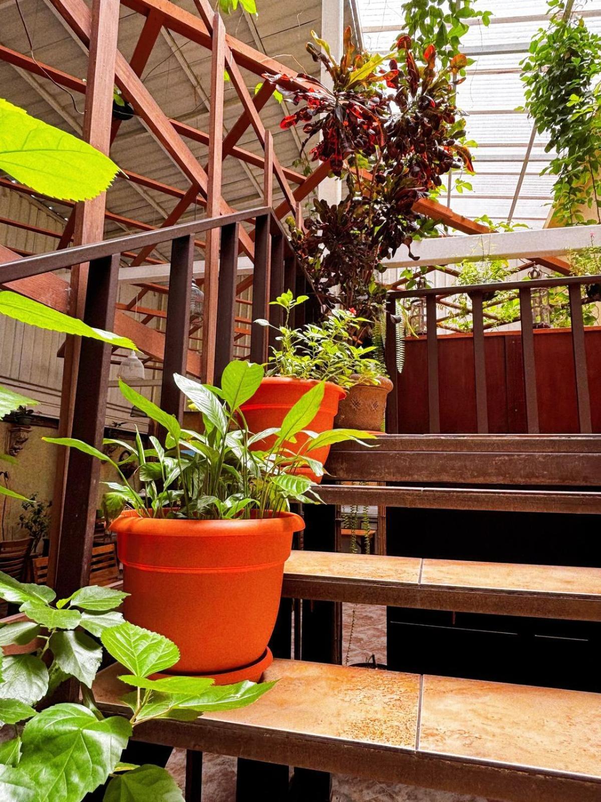 Antigua Inn Hotel Guatemala City Exterior photo